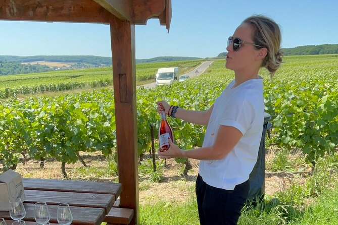 Cheese and Wine Pairing 1-Hour Session in Dijon - Who will enjoy this Dijon experience most?