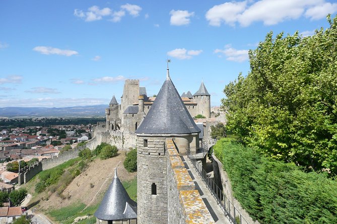 Cité de Carcassonne Guided Walking tour. Private tour. - Price, group size, and value