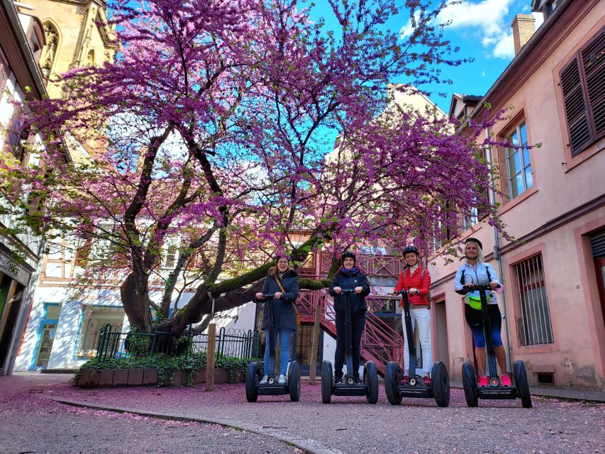 Colmar: 2-Hour Segway Tour - What the guide adds to the ride