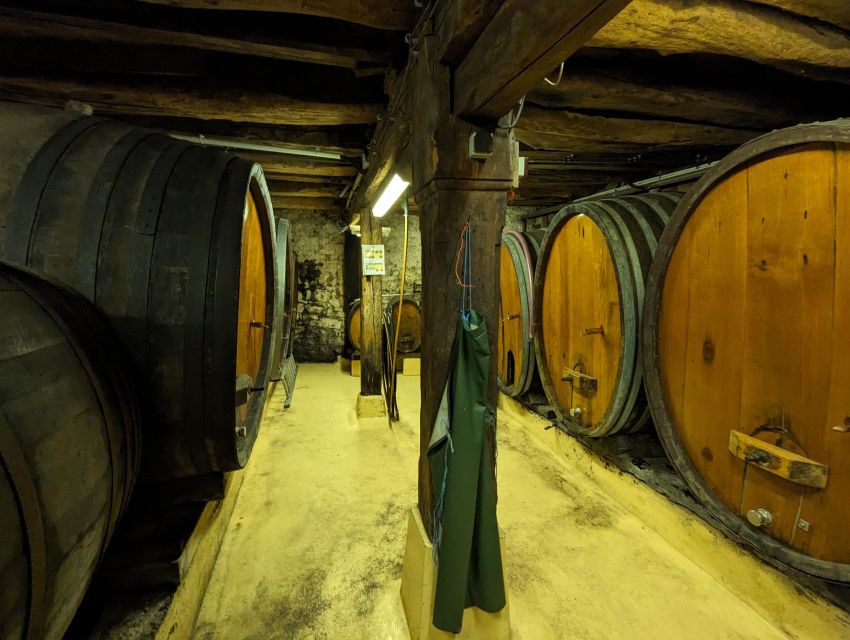 Colmar: Highlights Walking Tour and Wine Tasting - Starting at Parc du Champ de Mars