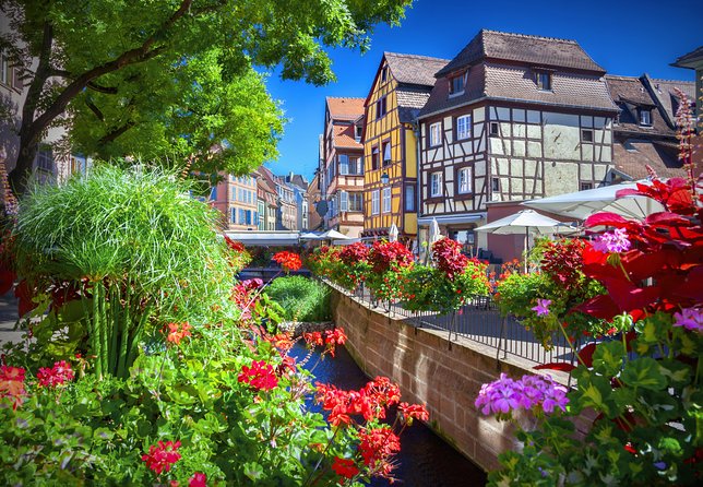 Colmar, Medieval Village & Castle Small Group from Strasbourg - What makes the Alsace Wine Route worth the drive