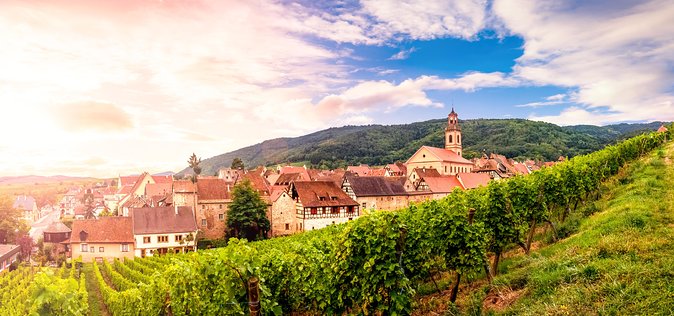 Colmar, Medieval Village & Castle Small Group from Strasbourg - Colmar’s canals, church, and half-timbered streets