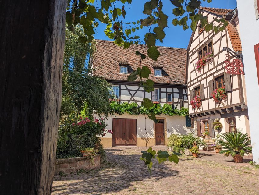 Colmar: Unusual Walking Tour with a local guide - Key points to know before you book