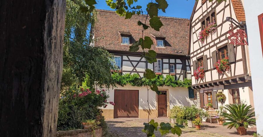 Colmar: Unusual Walking Tour with a local guide - Reading Colmar through its medieval streets