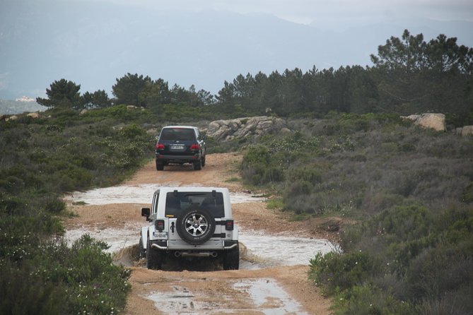 Corsica Extreme Sud Day 4X4 Excursions from Porto-Vecchio - How active is the day?
