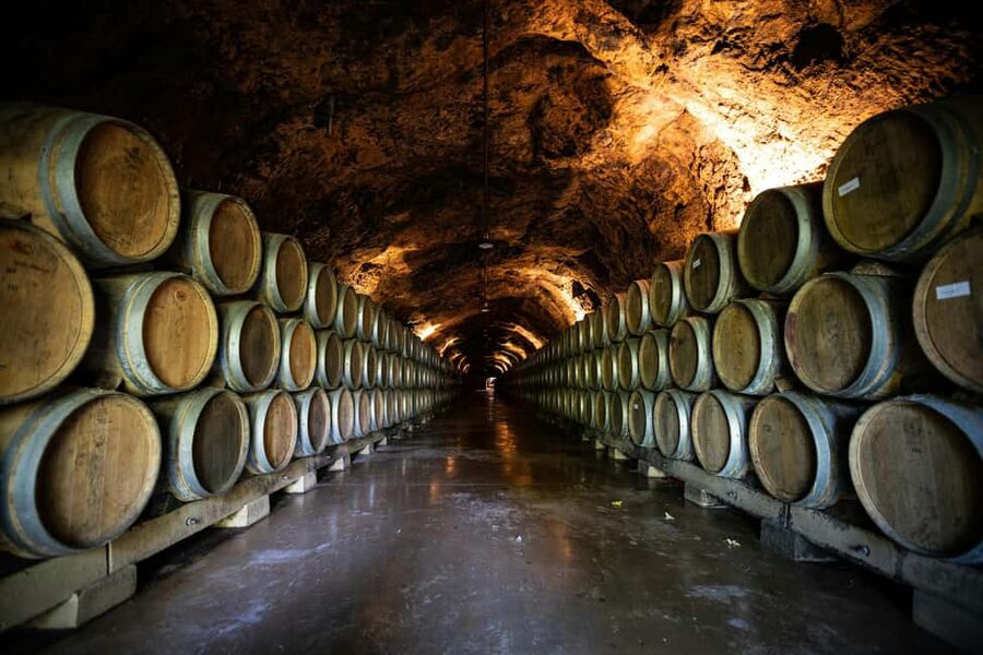 Côte de Beaune Half-Day Wine Tour from Dijon - From Place Darcy to Burgundy’s famous wine road