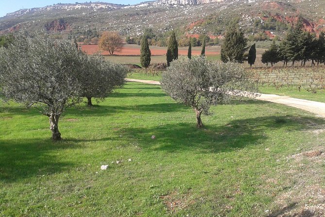 Cotes de Provence Wine Tour from Aix-en-Provence - Key points to know before booking