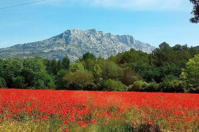 Cotes de Provence Wine Tour from Aix-en-Provence - Starting from Aix on the Cezanne road