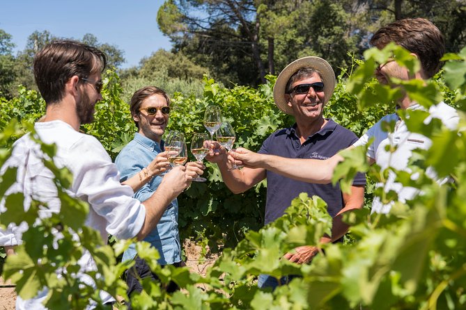 Cotes de Provence Wine Tour from Aix-en-Provence - What you are likely to taste