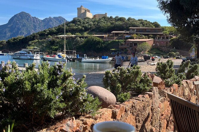 Cruise in a small group in Scandola Girolata Calanques de Piana - Who should book this boat trip?
