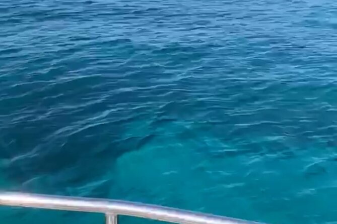 Cruise / navigation in the Lerins Islands - Swimming, snorkeling, and time in the sun