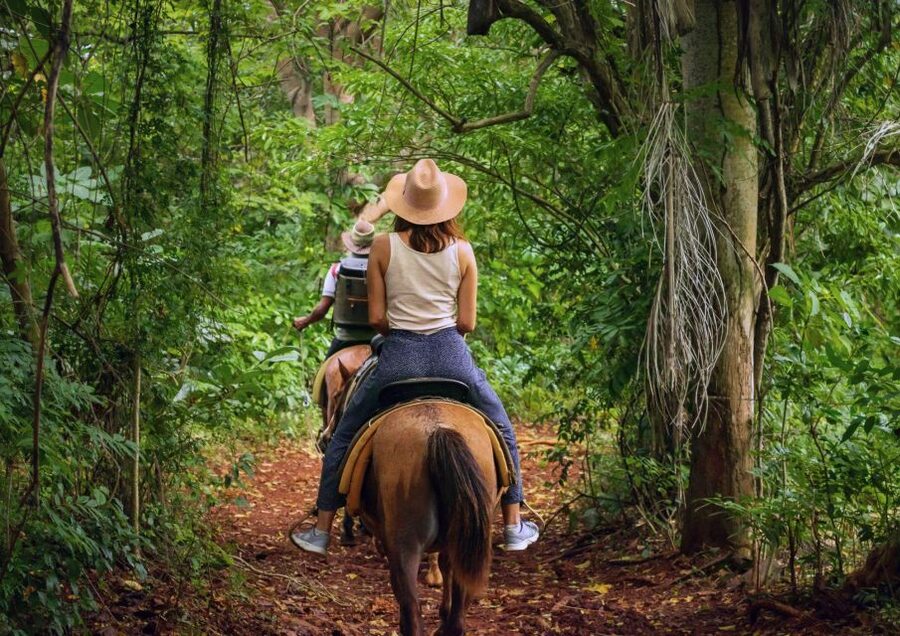 Cruseilles: Horseback Riding in the Countryside - Key points at a glance