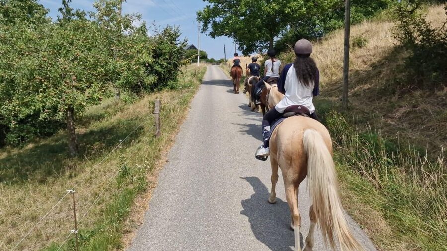 Cruseilles: Horseback Riding in the Countryside - Why Cruseilles works well for a one-hour ride