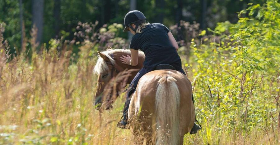 Cruseilles: Horseback Riding in the Countryside - The guides and the feel of the outing