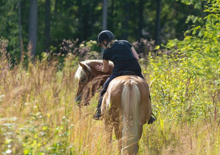 Cruseilles: Horseback Riding in the Countryside - Returning to the stable and meeting the horse again