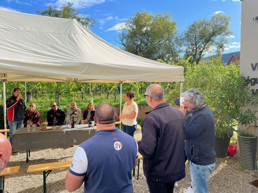 Dare to Alsace Wine with a Feminine Touch - Starting at Domaine Gueth in the Alsace vineyards