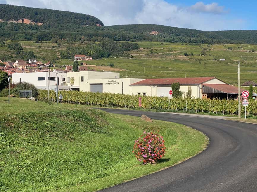 Dare to Alsace Wine with a Feminine Touch - What the $35 price gets you