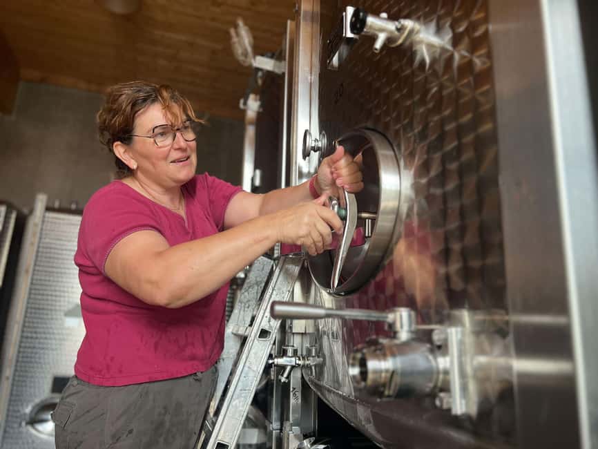 Dare to Alsace Wine with a Feminine Touch - Should you book this Domaine Gueth experience?