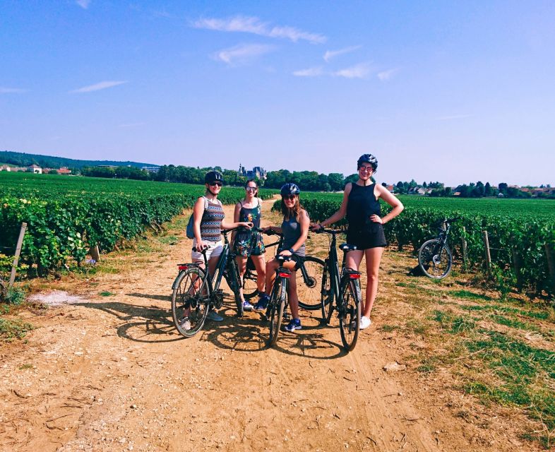 Dijon: Bike tour and Tastings in the Vineyards of Burgundy - Key points to know before booking