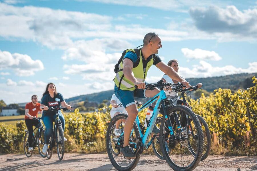 Dijon: Bike tour and Tastings in the Vineyards of Burgundy - Riding into the Côte de Nuits from Chenôve