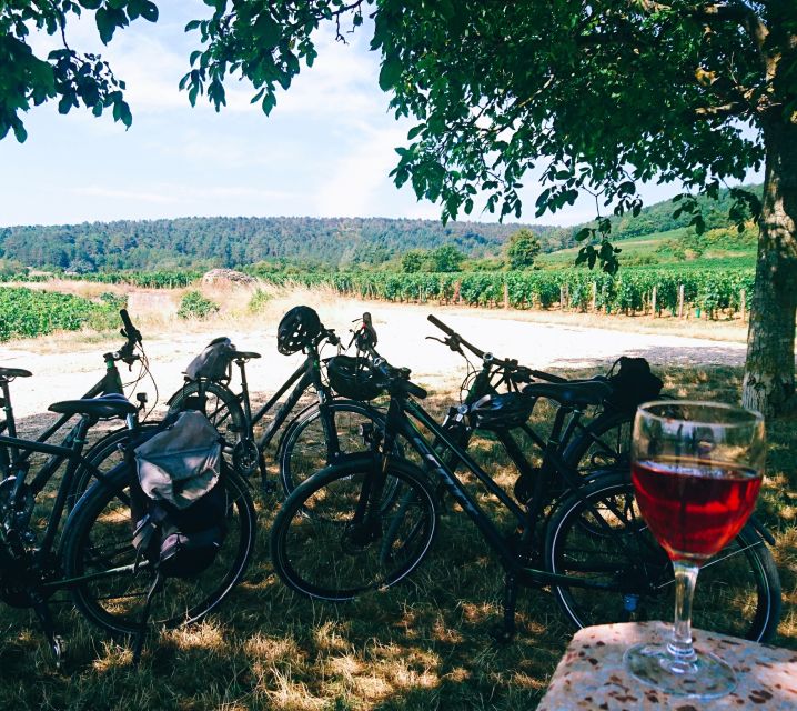 Dijon: Bike tour and Tastings in the Vineyards of Burgundy - Marsannay-la-Côte gives the tour its first wine-country feel