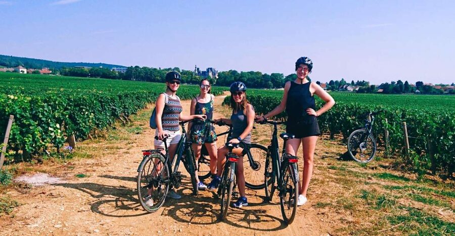 Dijon: Half-Day Guided Gourmet Bike Tour - Four wine villages, one easy cycling route