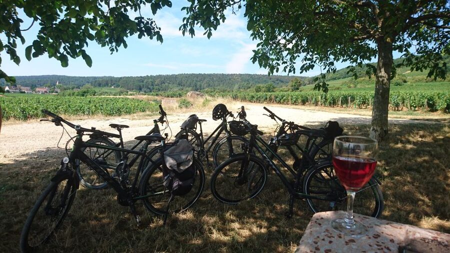 Dijon: Half-Day Guided Gourmet Bike Tour - Starting at Clos du Roy Park in Chenôve