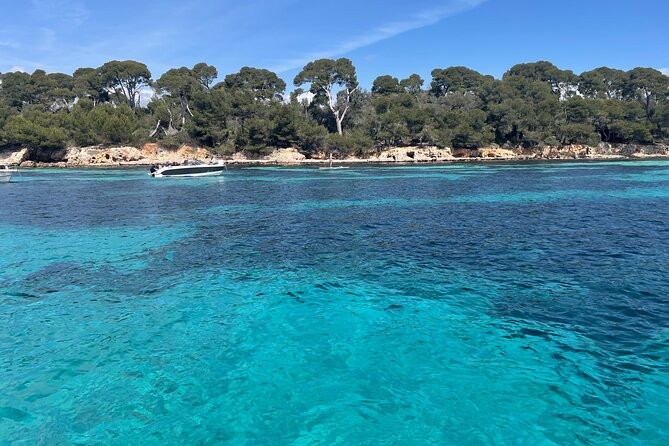 Discover the Lérins Islands and the Bay of Cannes by Private Boat - Following the Croisette back to Cannes