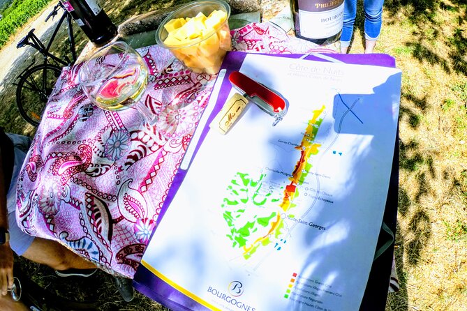 Discovery by bike & Tasting in the vineyards - Marsannay-la-Côte and the first vineyard views