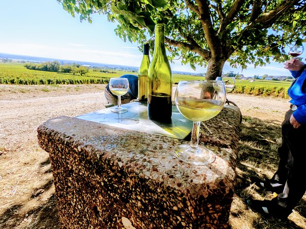 Discovery by bike & Tasting in the vineyards - Gevrey-Chambertin and the wine-country finish