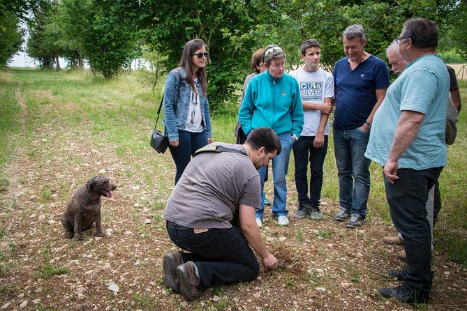 Discovery of the world of Truffles and tasting - Meeting Nicolas and entering the truffle world