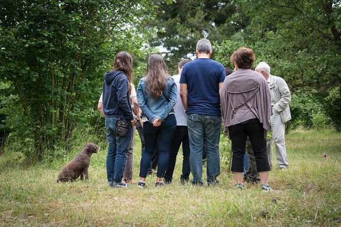 Discovery of the world of Truffles and tasting - Tasting truffle products after the hunt