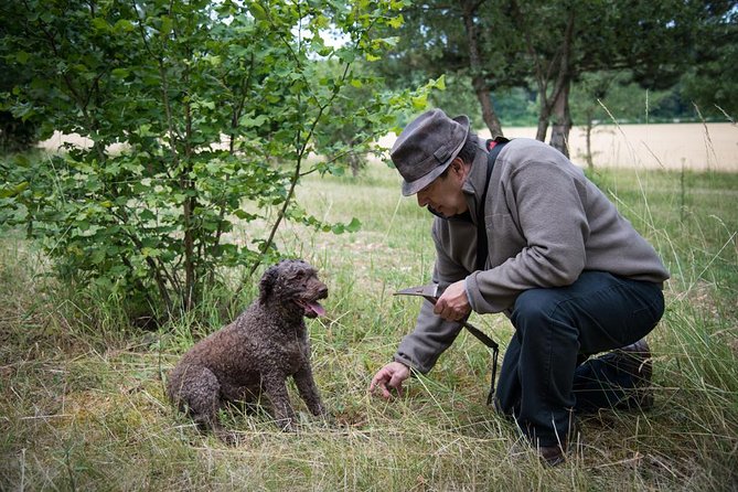 Discovery of the world of Truffles and tasting - Who will enjoy this most