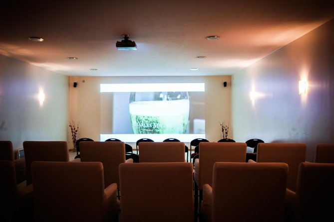 Discovery tour (2 tastings) - Choosing this tour instead of a larger Champagne house