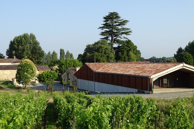 Discovery visit of Château Rol Valentin with tasting - Tasting Three Wines from the Estate