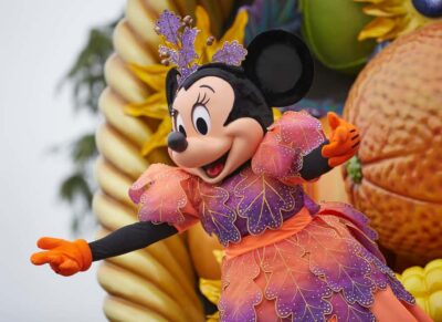 Disneyland® Paris 1-Day Flexible Date Ticket
