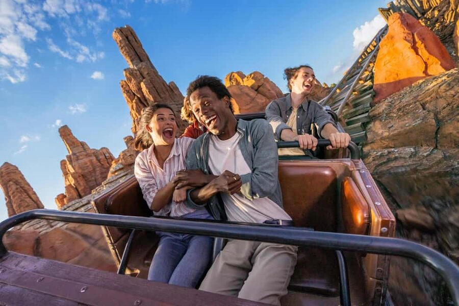 Disneyland® Paris Tickets and Shuttle Transport - Who should book this shuttle package?
