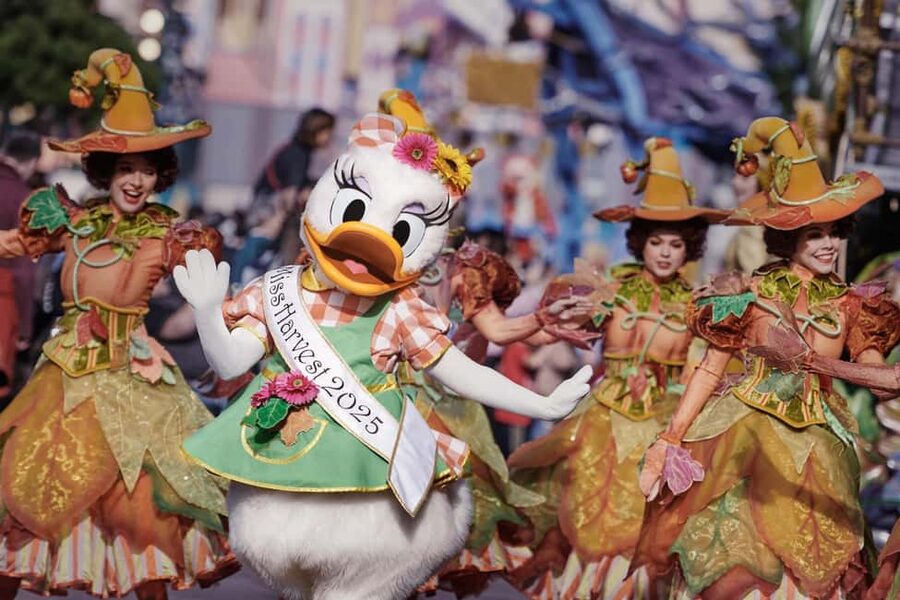 Disneyland® Paris Tickets and Shuttle Transport - The ride to Disneyland Paris