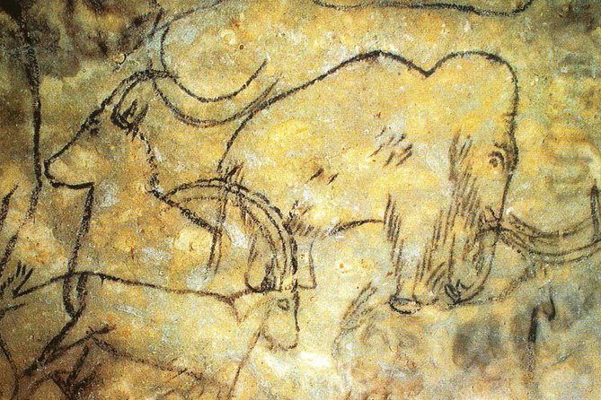Dordogne Day Tour : Prehistory and The Art of the Caves from Sarlat - Key points at a glance