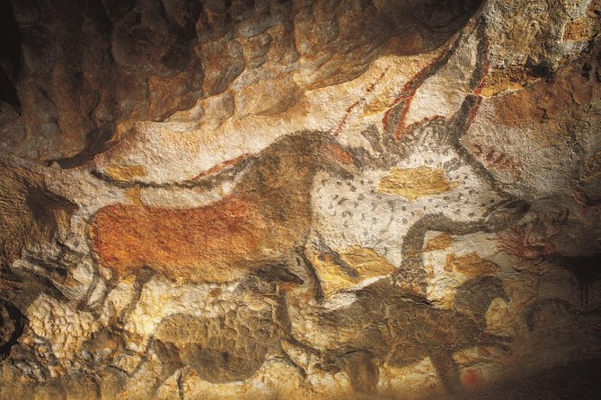 Dordogne Day Tour : Prehistory and The Art of the Caves from Sarlat - The National Prehistory Museum at Les Eyzies
