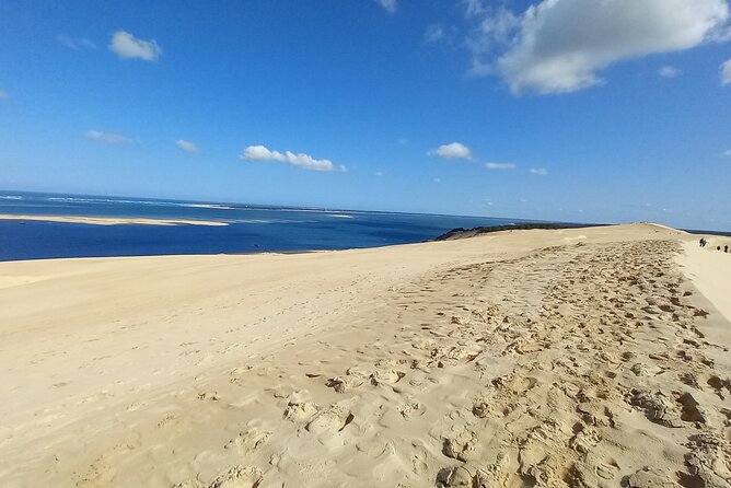 Dune du Pilat and Oysters Tasting in only 1 hour away from Bordeaux ! What else? - One hour in Arcachon