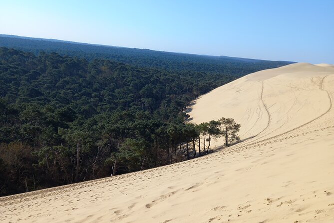 Dune du Pilat and Oysters Tasting in only 1 hour away from Bordeaux ! What else? - Who will enjoy this outing most