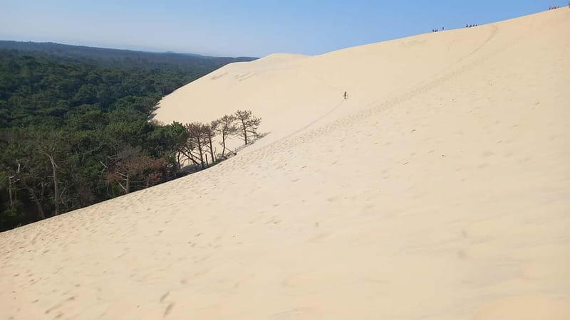 Dune du Pilat, Oysters Tasting and Arcachon! What else ? - One hour in Arcachon