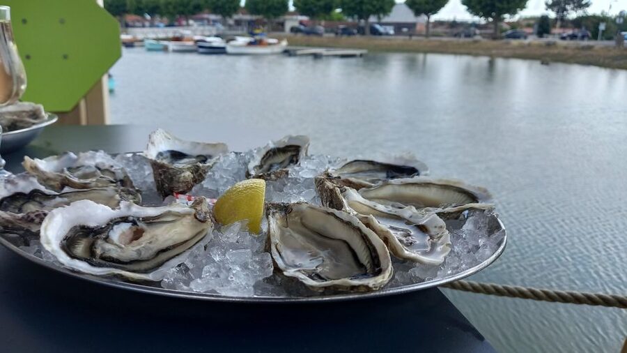 Dune du Pilat, Oysters Tasting and Arcachon! What else ? - Should you book the Dune du Pilat and oyster tour?