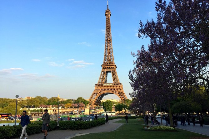 Eiffel Tower Elevator Tour with Optional Summit & Cruise Access - What the $42.33 price really buys you