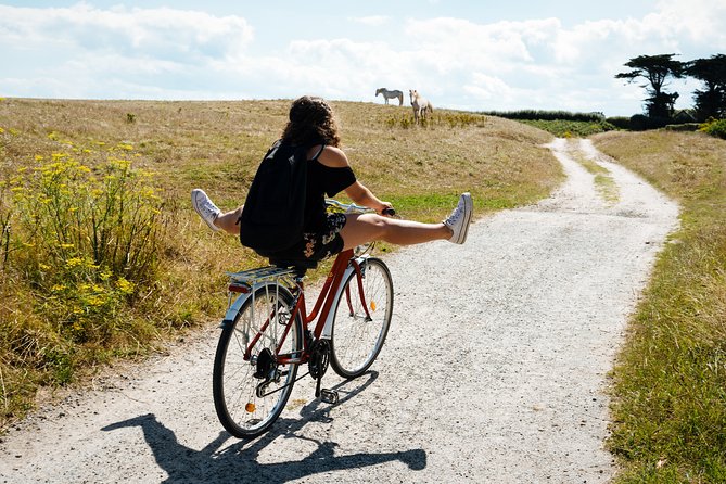 Electric bike excursion in Camargue - Watching Flamingos and Migratory Birds