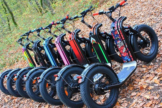 Electric scooter tour in Hossegor - Who should book this experience?