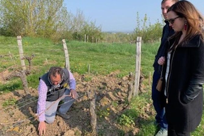 English Speaking Loire Winery Tours originating from Chinon - The full-day outing: three vineyards and a three-course picnic