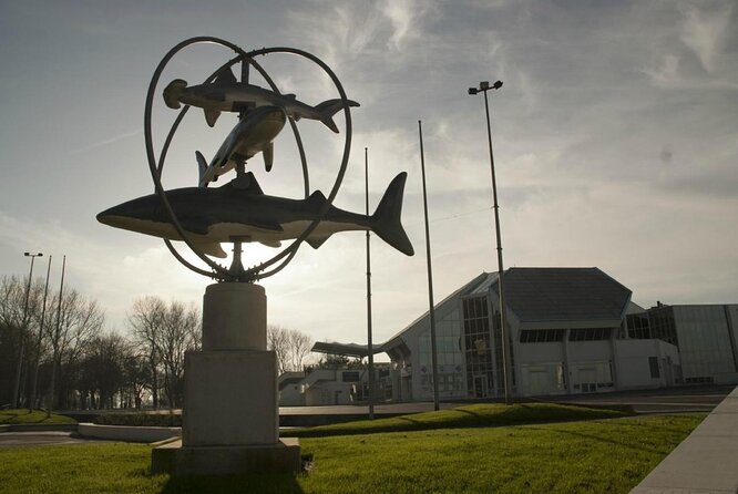 Entrance Ticket Nausicaa, the biggest aquarium in Europe - Key points to know before you go