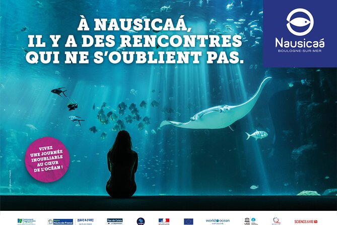 Entrance Ticket Nausicaa, the biggest aquarium in Europe - The giant tank, manta ray, and underwater tunnel